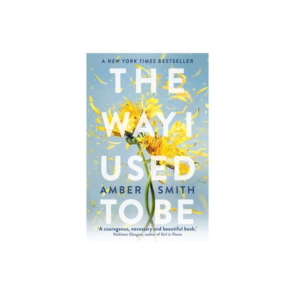 The Way I Used to Be (pocket, eng)