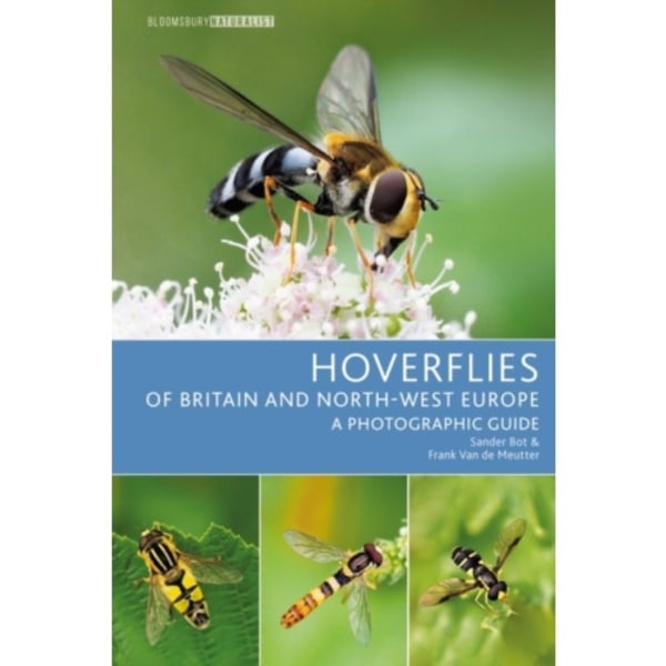 Hoverflies of Britain and North-west Europe (häftad, eng)