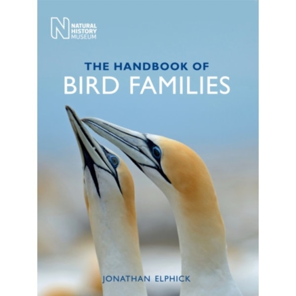 The Handbook of Bird Families (häftad, eng)