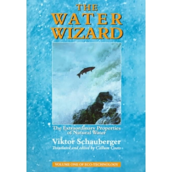 The Water Wizard (häftad, eng)
