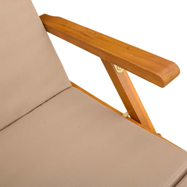 Reclining och Fällbar Solstol 55 x 146 x 91 cm