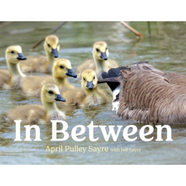 In Between (inbunden, eng)