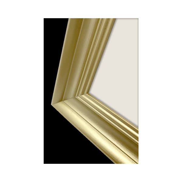 Focus Lotus Gold 18x24