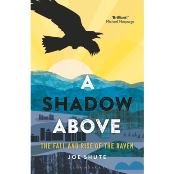 A Shadow Above (häftad, eng)