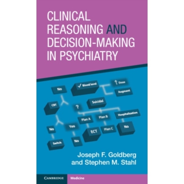 Clinical Reasoning and Decision-Making in Psychiatry (häftad, eng)