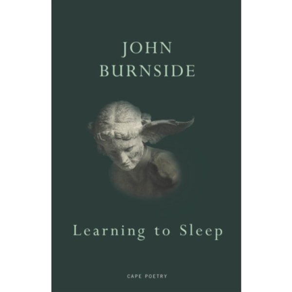 Learning to Sleep (häftad, eng)