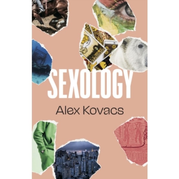 Sexology (häftad, eng)