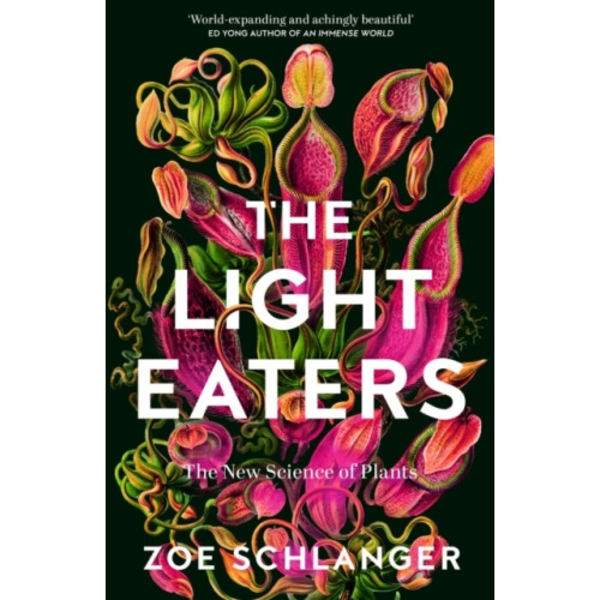 The Light Eaters (inbunden, eng)