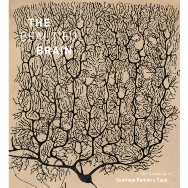 The Beautiful Brain (inbunden, eng)