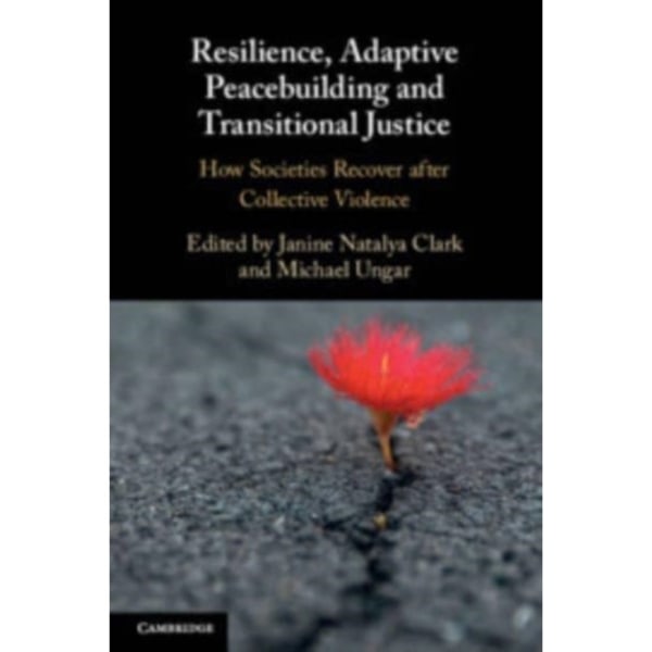 Resilience, Adaptive Peacebuilding and Transitional Justice (häftad, eng)