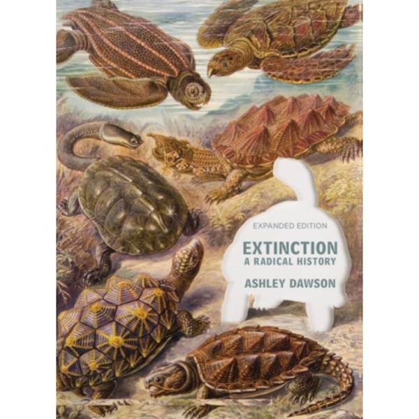 Extinction (häftad, eng)