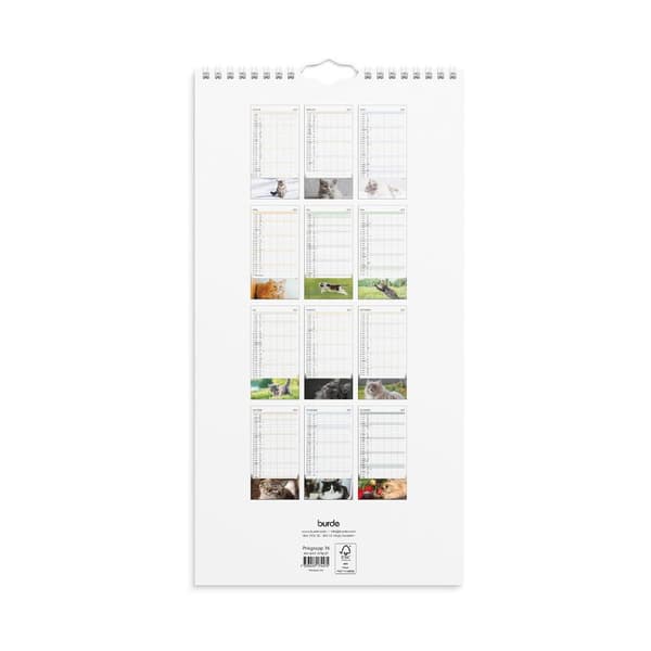 Familjekalender 2027 Katter