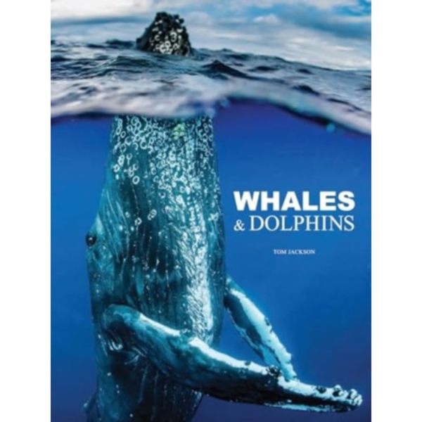 Whales & Dolphins (inbunden, eng)