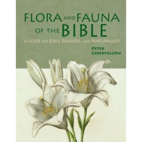 Flora & Fauna of the Bible (inbunden, eng)