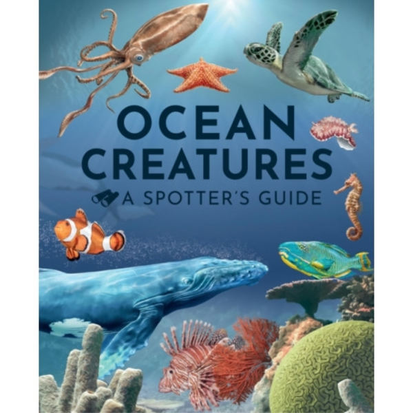 Ocean Creatures: A Spotter's Guide (inbunden, eng)