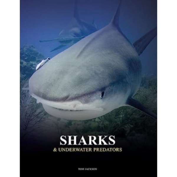 Sharks and Underwater Predators (inbunden, eng)