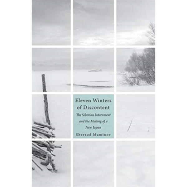 Eleven Winters of Discontent (inbunden, eng)
