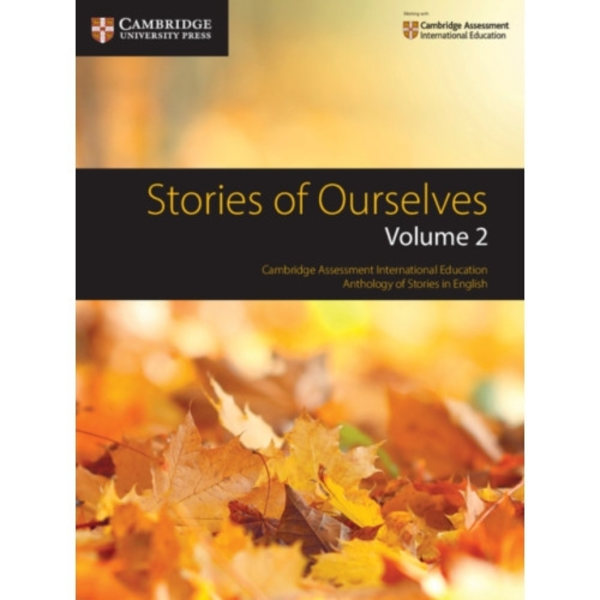 Stories of Ourselves: Volume 2 (häftad, eng)