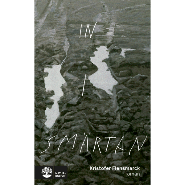 In i smärtan (inbunden)