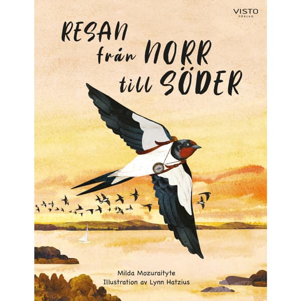 Resan från norr till söder (inbunden)
