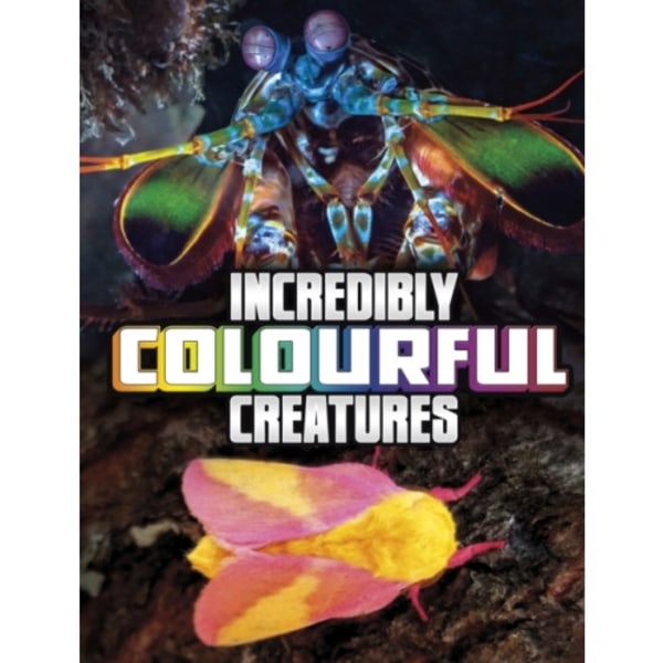 Incredibly Colourful Creatures (inbunden, eng)