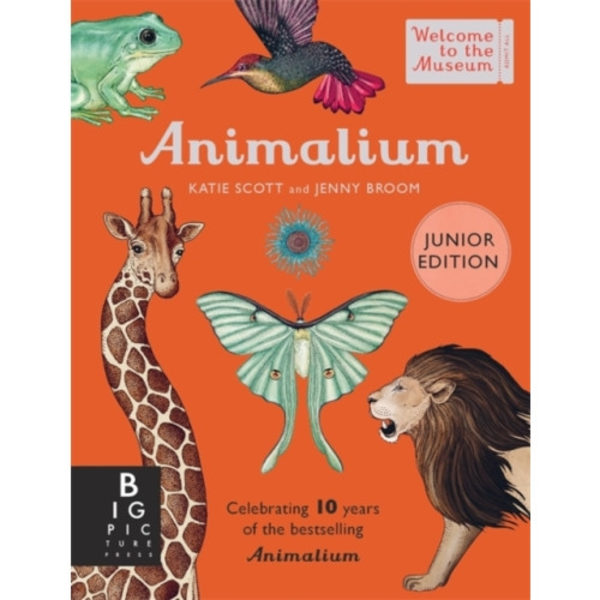 Animalium (Junior Edition) (inbunden, eng)
