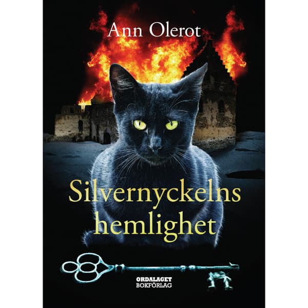 Silvernyckelns hemlighet (bok, kartonnage)