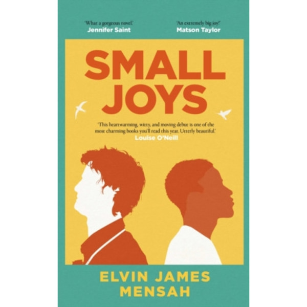 Small Joys (inbunden, eng)
