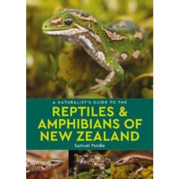 A Naturalist's Guide to the Reptiles & Amphibians Of New Zealand (häftad, eng)