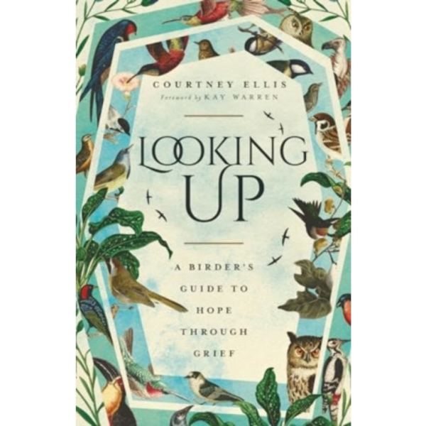 Looking Up (häftad, eng)