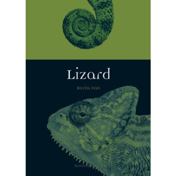 Lizard (häftad, eng)