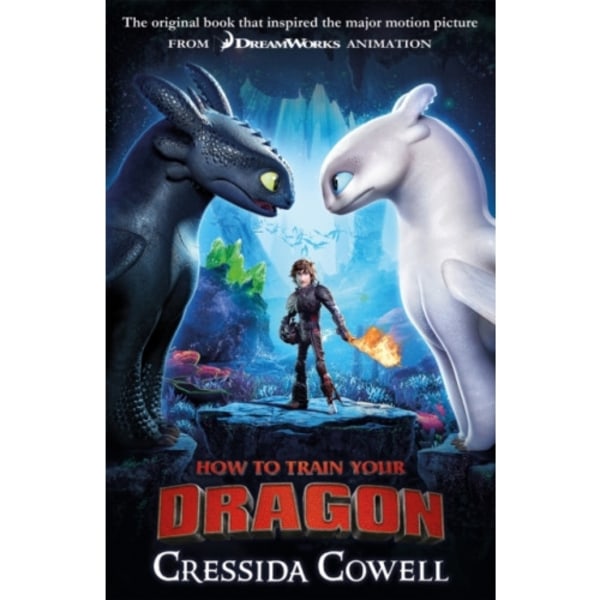 How to Train Your Dragon FILM TIE IN (3RD EDITION) (häftad, eng)