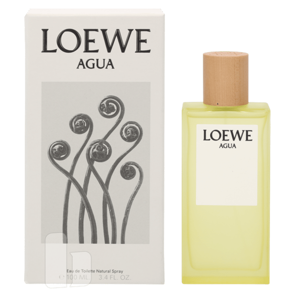 Loewe Agua Edt Spray 100 ml Dam