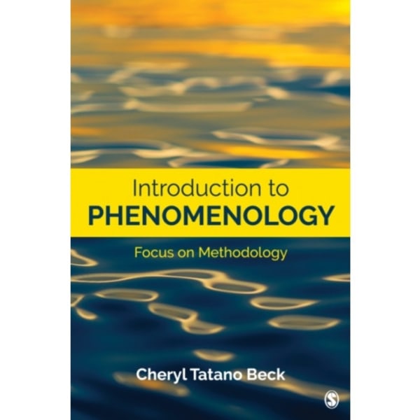 Introduction to Phenomenology (häftad, eng)