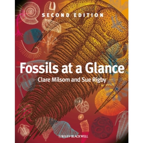 Fossils at a Glance (häftad, eng)
