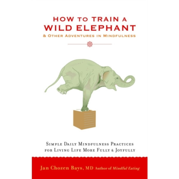 How to Train a Wild Elephant (häftad, eng)