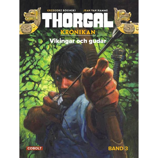 Vikingar och gudar (inbunden)