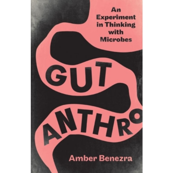 Gut Anthro (häftad, eng)