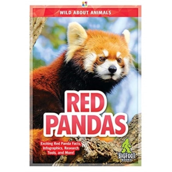 Red Pandas (inbunden, eng)
