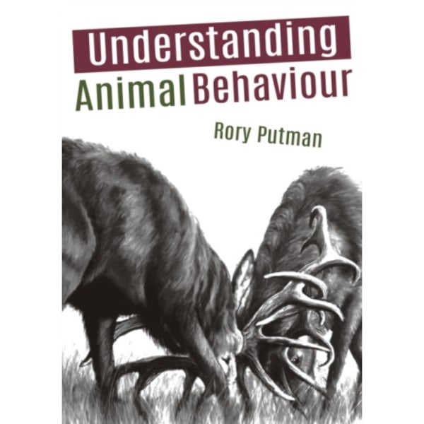 Understanding Animal Behaviour (häftad, eng)