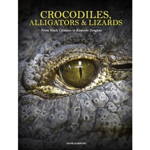 Crocodiles, Alligators & Lizards (inbunden, eng)