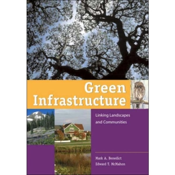 Green Infrastructure (häftad, eng)