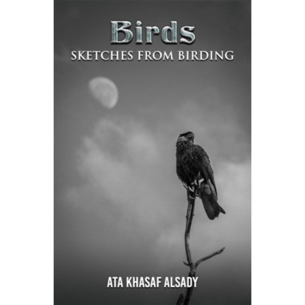 Birds: Sketches from Birding (häftad, eng)