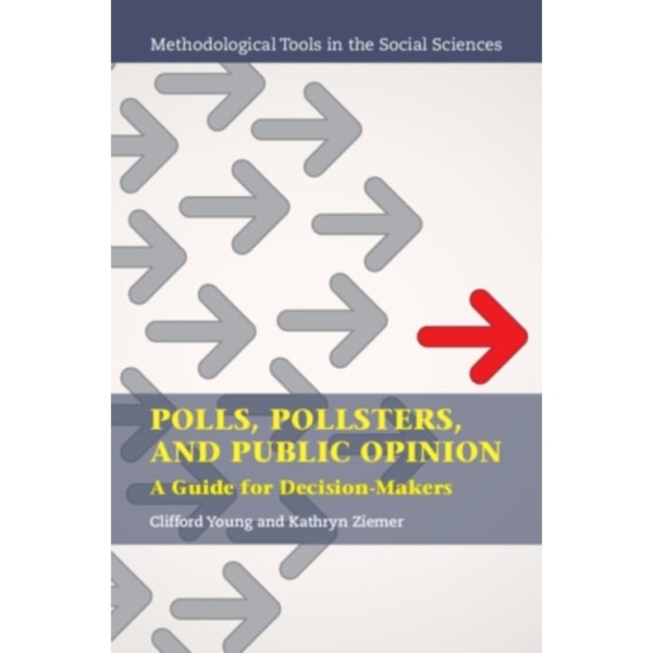 Polls, Pollsters, and Public Opinion (häftad, eng)