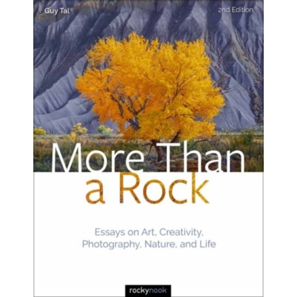 More Than a Rock (inbunden, eng)