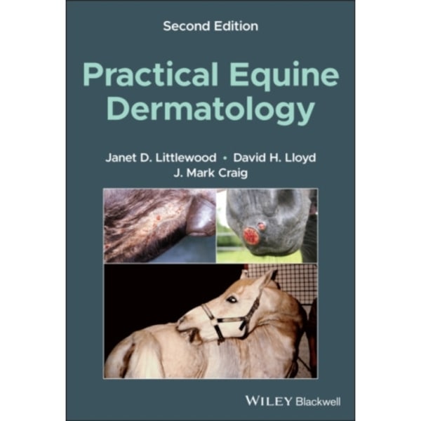 Practical Equine Dermatology (häftad, eng)