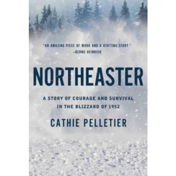 Northeaster (häftad, eng)