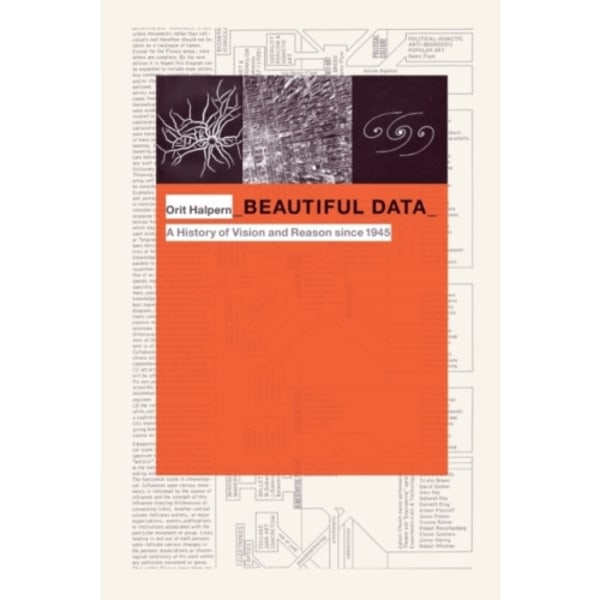 Beautiful Data (häftad, eng)