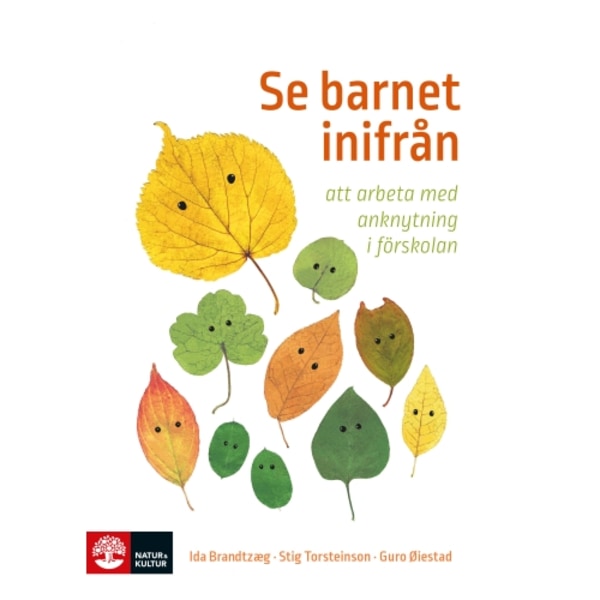 Se barnet inifrån : att arbeta med anknytning i förskolan (bok, danskt band)