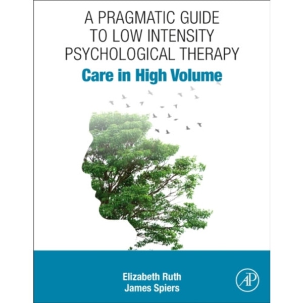 A Pragmatic Guide to Low Intensity Psychological Therapy (häftad, eng)